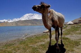 �Ͻ���ʮ��ʢ�� ��Խ��ɽ