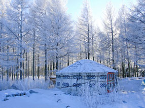 09��Ԫ���ж�������ͳˣѩ