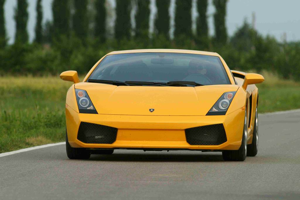 Gallardo