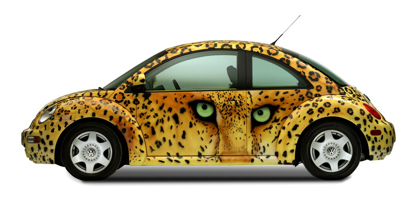 ������Ϣ��չ