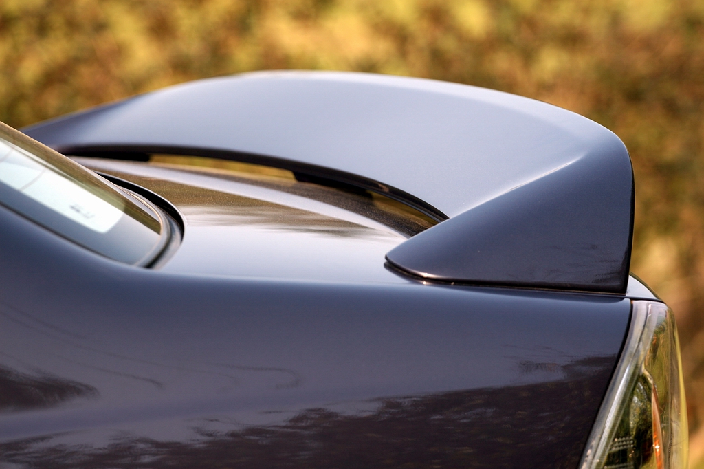 ���������������ͼƬ