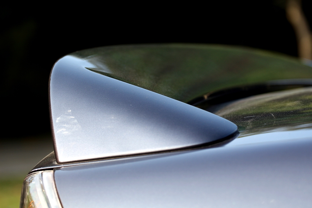 ���������������ͼƬ