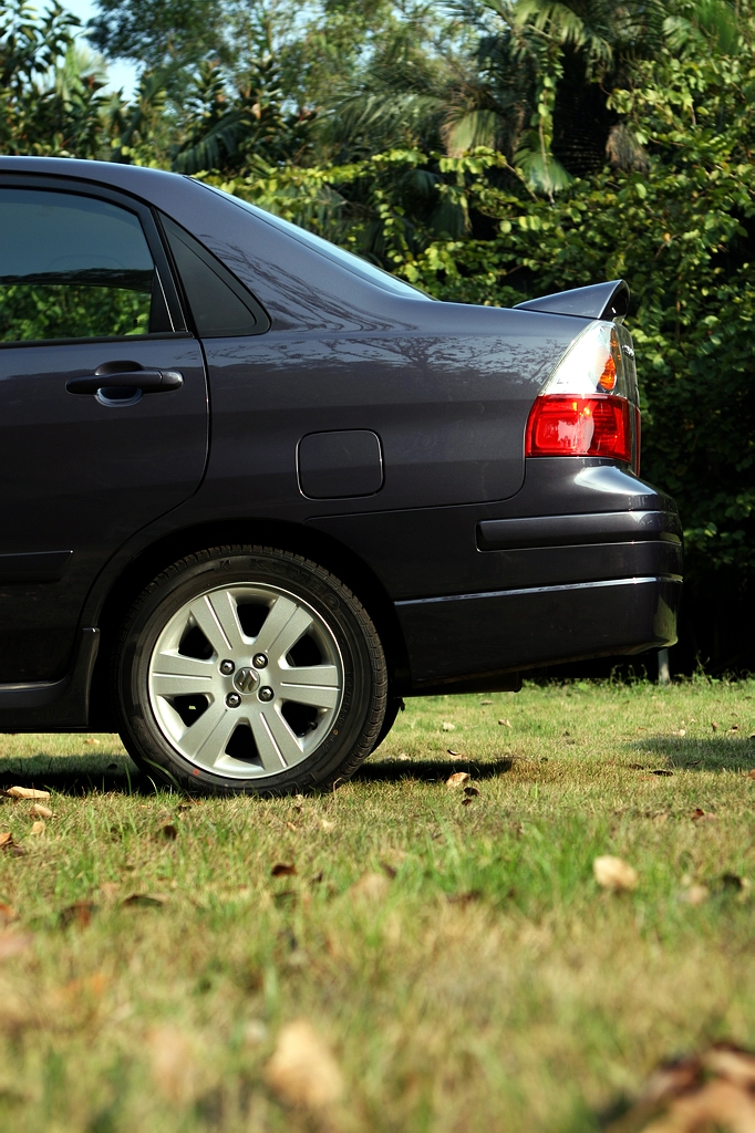 ���������������ͼƬ