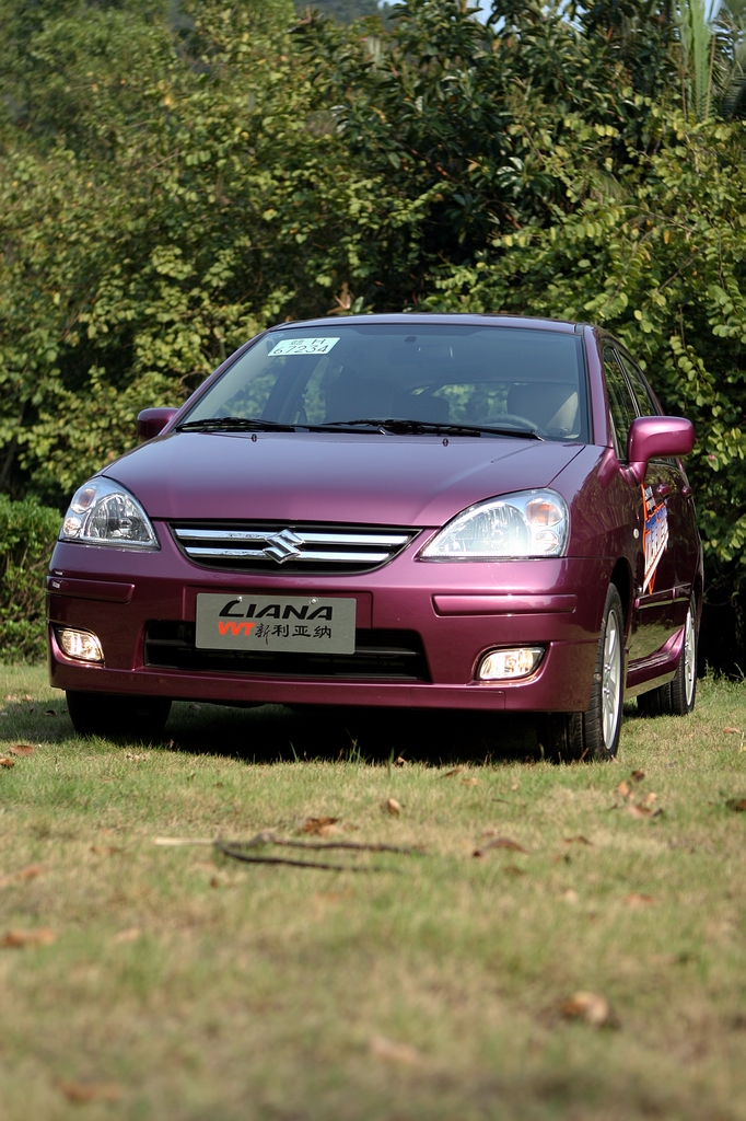 ���������������ͼƬ