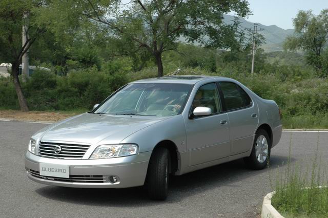 �Լ���������