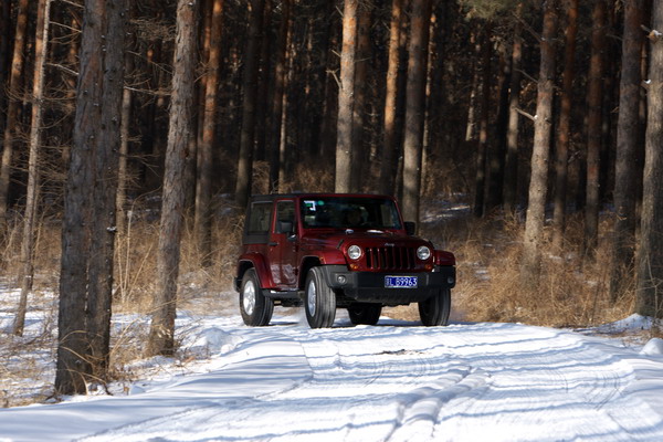 JEEP SAHARA(˫)ͼƬ