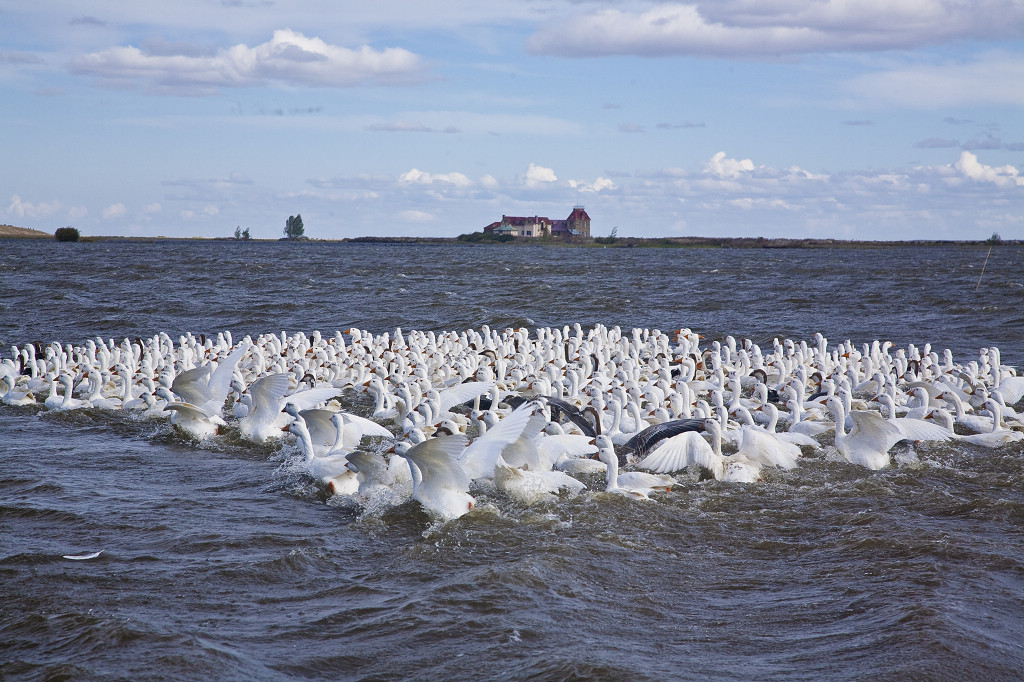 ���ɲ�ԭ·�����л���