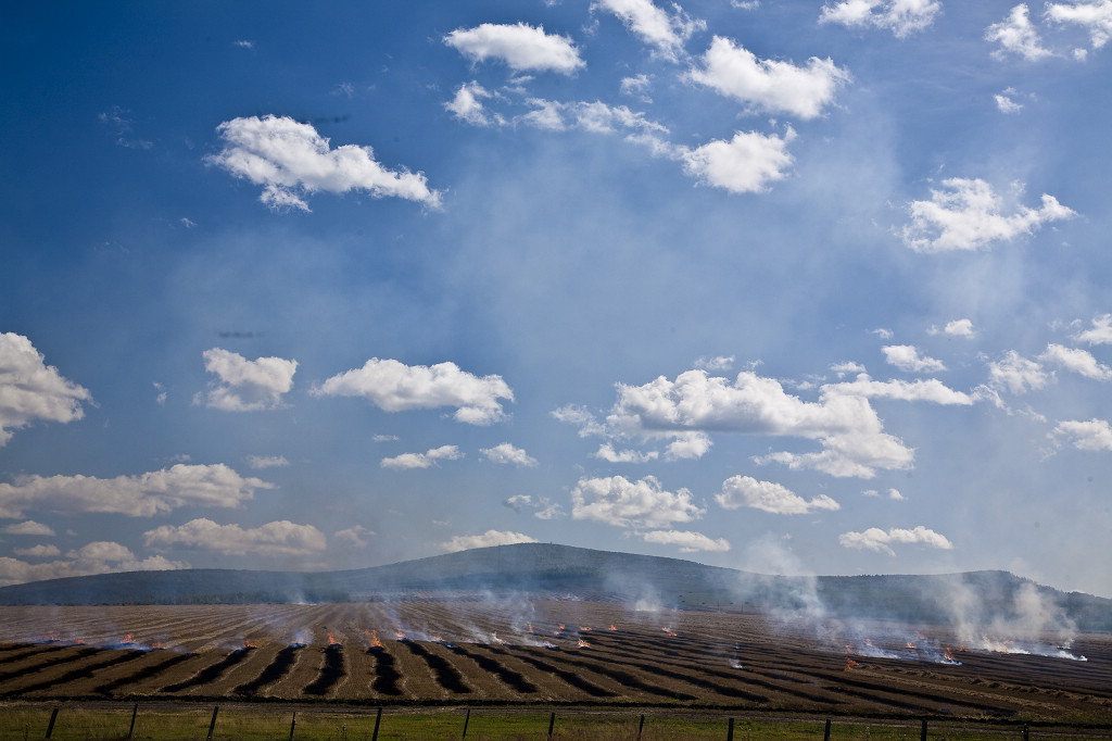 ���ɲ�ԭ·�����л���