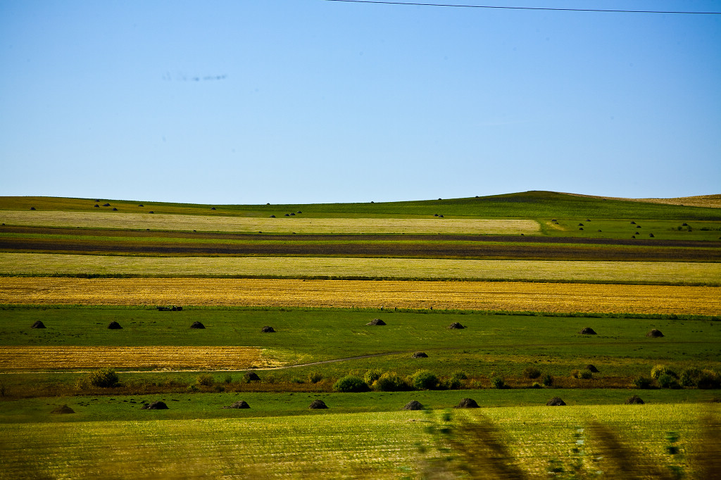 ���ɲ�ԭ·�����л���