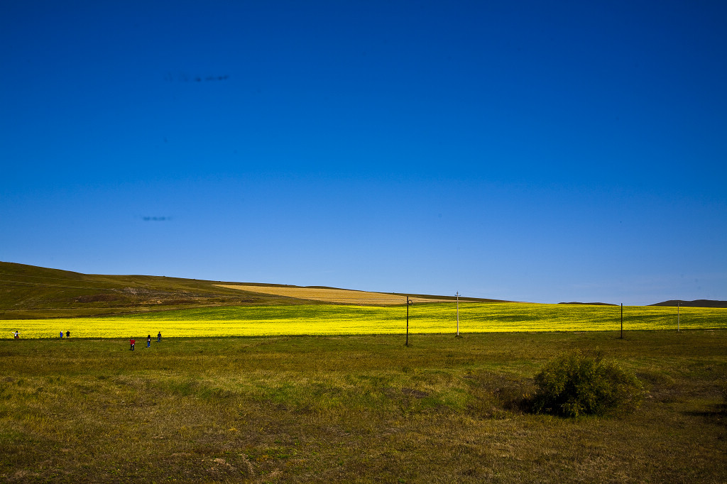 ���ɲ�ԭ·�����л���