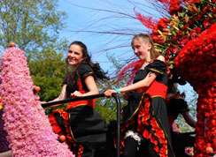 荷兰风情节日:郁金香花节