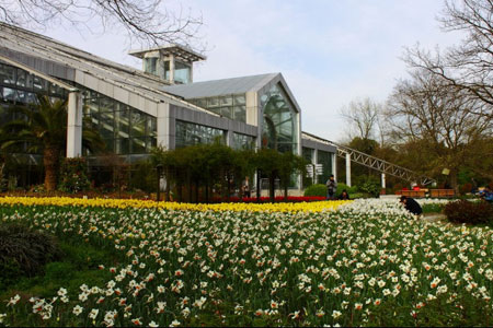 多彩植物园