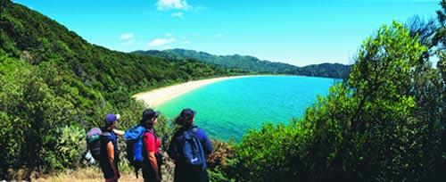 New Zealand Hiking