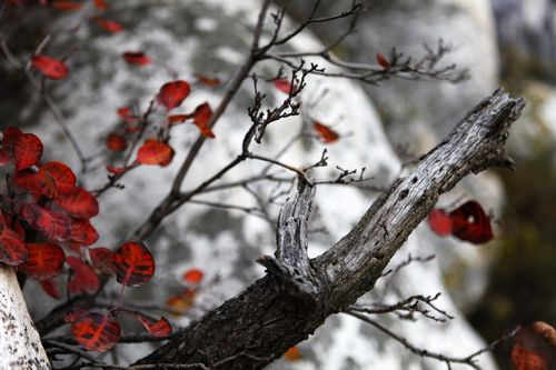 少室山悬崖峭壁绝处逢生