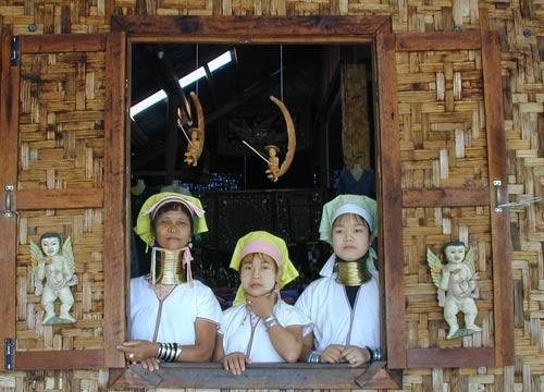 Thailand long-necked family