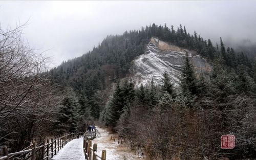 雪路