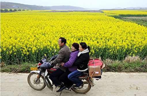 笑脸映衬花海 摄影：柯皓