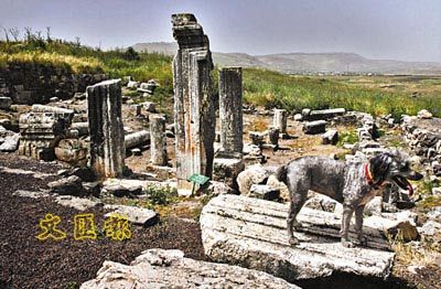 Cliffs of Arbel̫ʥַ