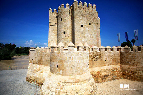 Ollanta Cara (Torre de la Calahorra)