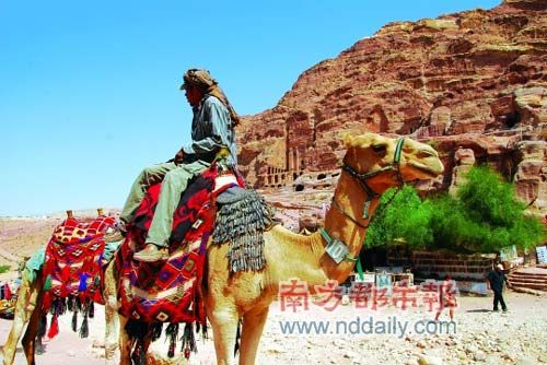 Local transportation Camel