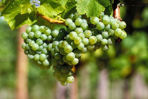 深圳到德国_德国自驾旅游路线_德国旅游攻略