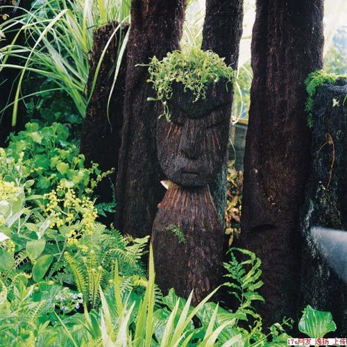 Learn to Rotorua Maori