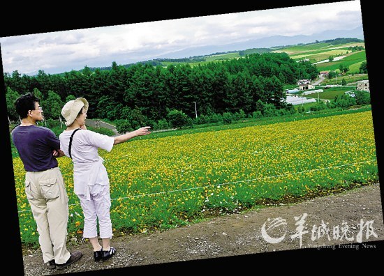 The flowers of the local Japanese tourists to Hokkaido
