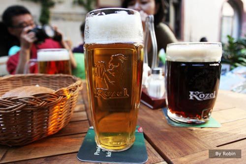 Ƞɭ(pilsener)ơ