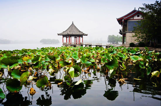 大明湖作为一处风景名胜，不仅风光秀丽，更有深厚悠久的文化积淀。盛夏之时，柔枝点水，婀娜多姿，红莲白荷争奇斗艳，一红一绿相映成趣。