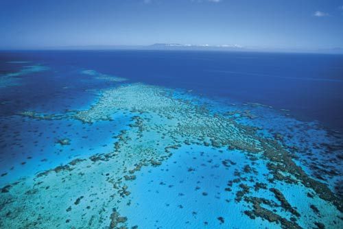 Sina travel pictures: Great Barrier Reef scenic source: Queensland Tourism Bureau