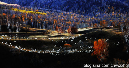 Sina travel pictures: Autumn dam, a riot of colours: I am the most aggressive photography