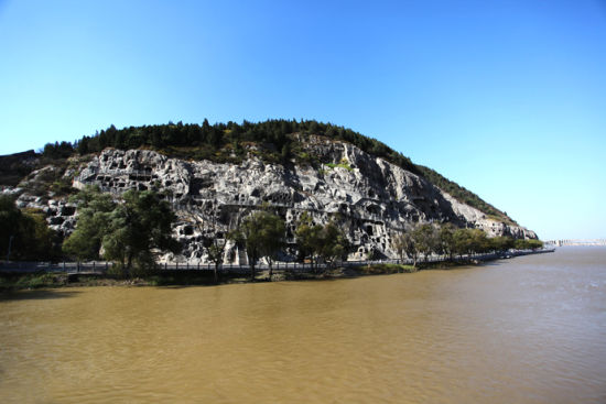 DTʯ zӰiceque