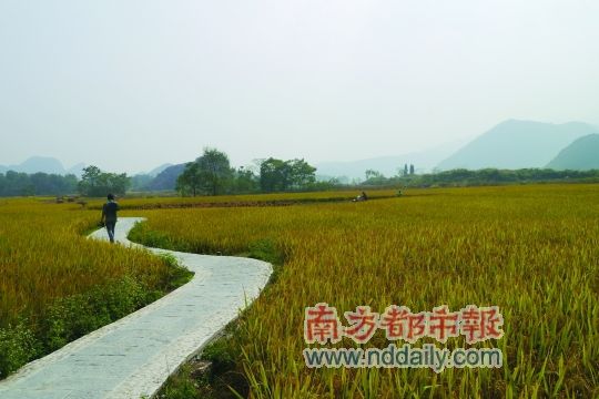 Daoxian County field