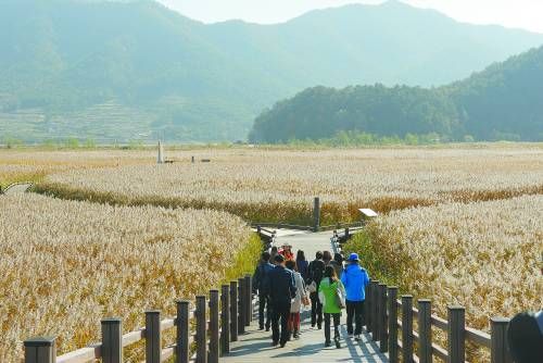 The day Bay ecological park