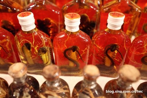 老挝琅勃拉邦:最独特的壮阳药酒(3)