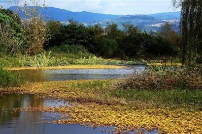 Colorful lakes