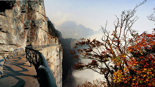 Autumn in Zhangjiajie