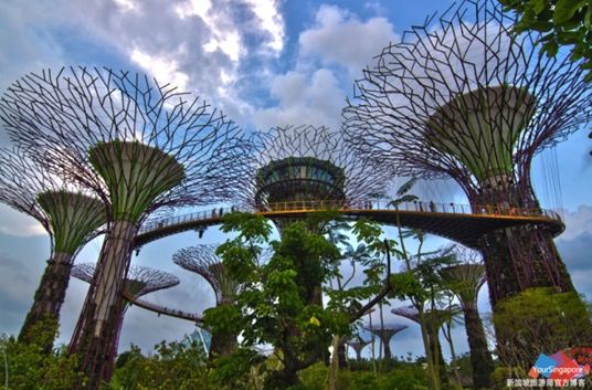 新加坡滨海湾花园:探索神秘阿凡达花园