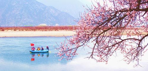 Peach shade under the Niyang River
