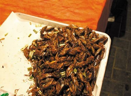 High protein fried bugs