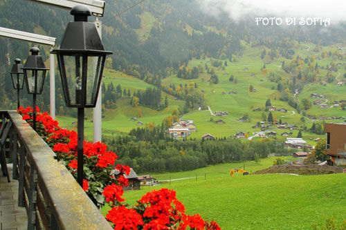 The terrace outside the beautiful scenery