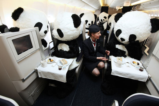 大熊猫欢聚英国航空下午茶 共庆9月开通成都-