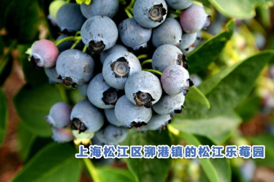 U6239P704DT20130801092138.png