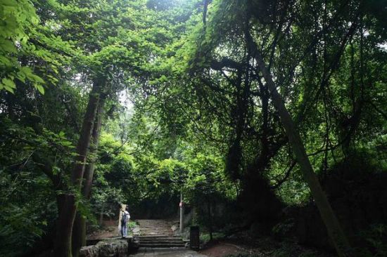 九溪嬉水山洞纳凉; 自驾杭州 游八卦田 在玉皇山上乘荫;; 西湖纳凉地