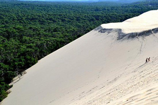 世界上最高的海岸沙丘暴风山