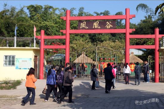 秋游南宁凤凰谷 笑语欢歌放松身心