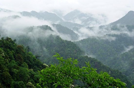 逃离都市烦躁好去处 江西适合隐居的仙山
