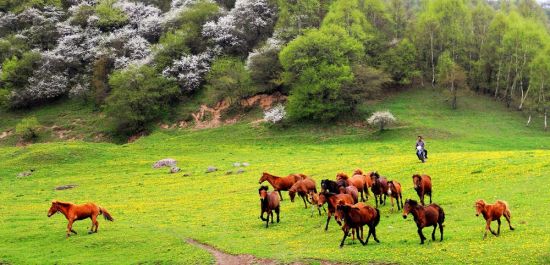 关山中秋夜 看不到月亮赔你188元