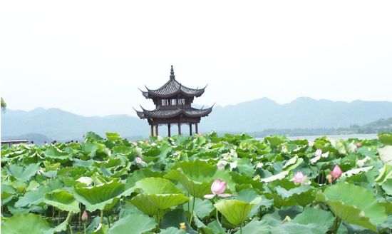 盘点国内免费旅游景点:杭州和成都