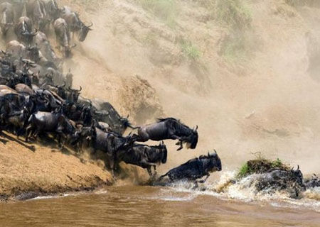 肯尼亚，来自心灵的的共振_新浪旅游_新浪网